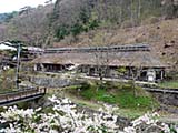 大沢温泉　菊水館