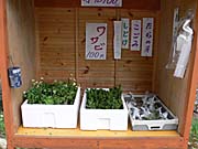 山菜とわさびの無人販売