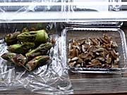 花巻で買った食材：タラの芽
