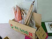巨大にんじん