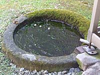 温泉津温泉・恵珖寺宿坊米子屋の庭にある水たまり。沢ガニが生息している。