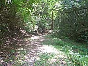 石見銀山世界遺産群。銀ロード