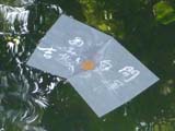八重垣神社の鏡の池に浮かぶ占いの紙