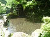伊豆七滝　大滝温泉天城荘　湧き水の池