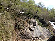 近くの山の中を散歩した
