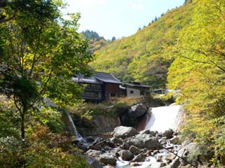 沢のそばに立つ滑川温泉