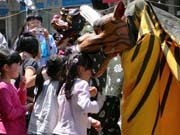 白石　お祭り　獅子舞