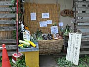 野菜の無人販売