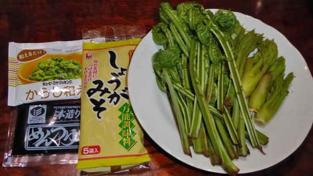 大鰐温泉で買った春の山菜と調味料