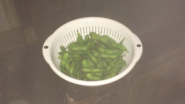 秋田の枝豆を釜で蒸した後。湯気もうもう。