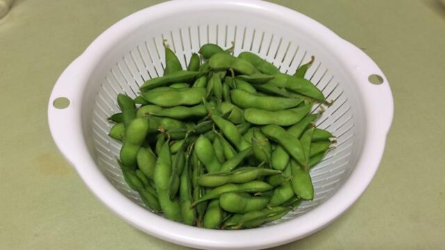 秋田の枝豆