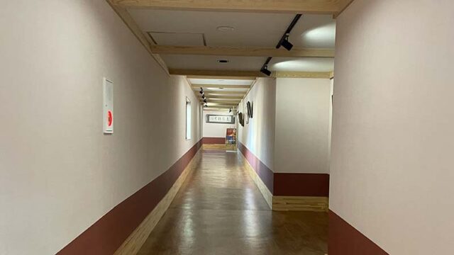 寺泊つわぶき温泉　住吉屋の別館までの廊下