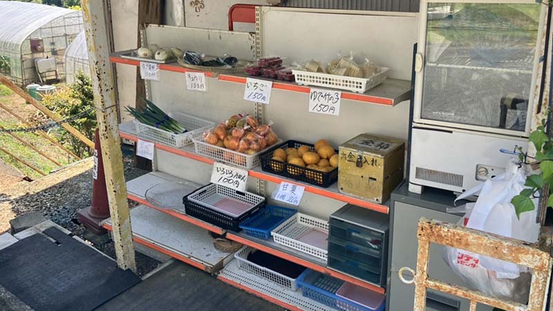 下田の無人販売。苺が超お買い得