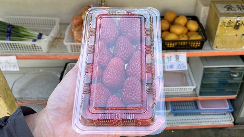無人販売で買った不揃いの完熟苺
