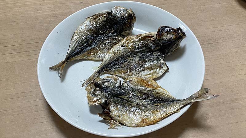 自分で開いたアジの干物
