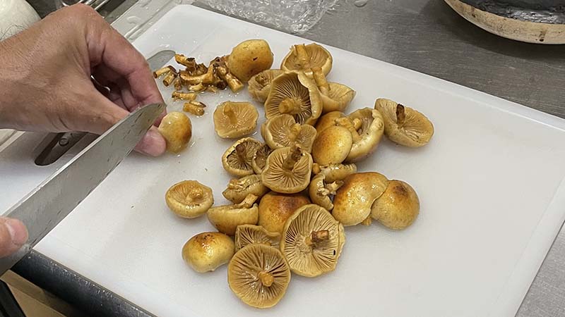 なめこを炊き込みご飯用に石突きを取る