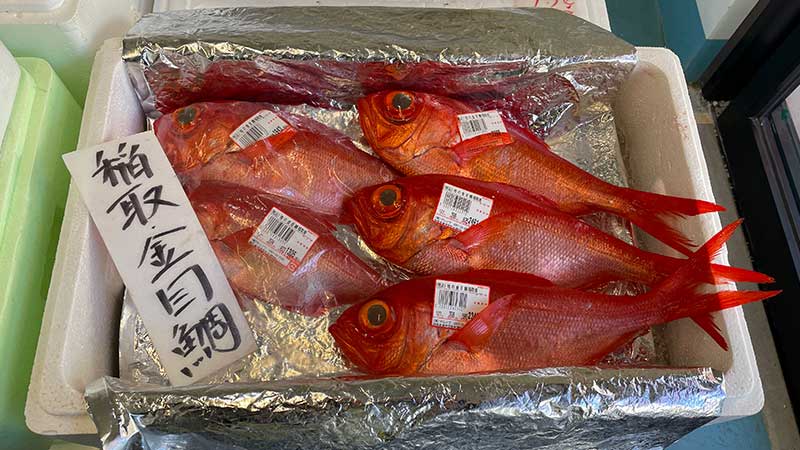 稲取産金目鯛　これを食べるよ～