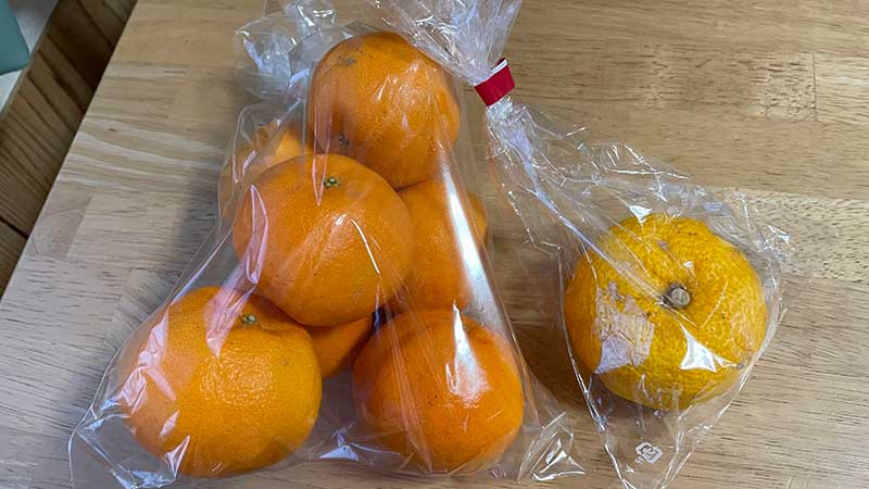 熱川で買ったポンカンとゆず